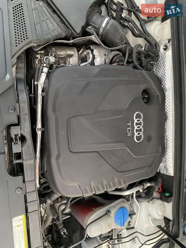 Универсал Audi A4 Allroad 2014 в Радивилове фото 23 Универсал Audi A4 Allroad 2014 в Радивилове