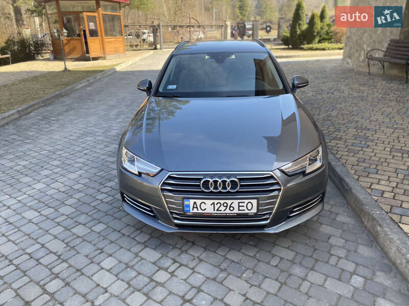 Универсал Audi A4 2015 в Шептицькому