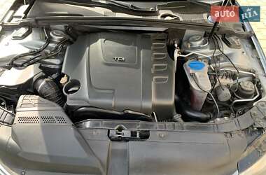 Універсал Audi A4 2009 в Звягелі
