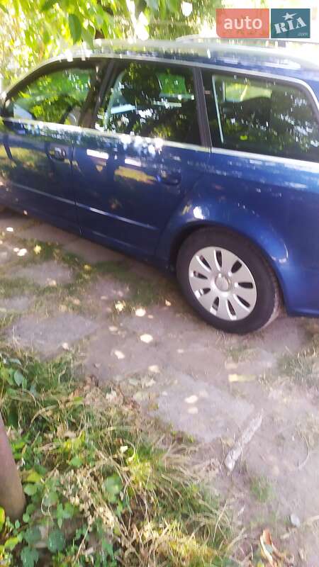 Універсал Audi A4 2005 в Кодимі