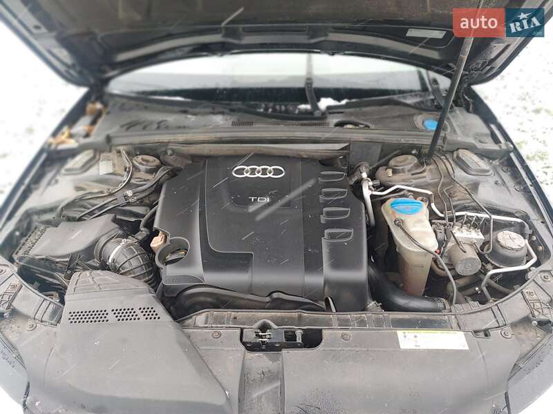 Универсал Audi A4 2010 в Золотоноше
