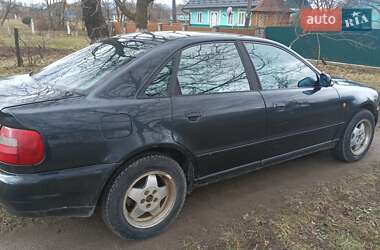 Седан Audi A4 1997 в Вижниці