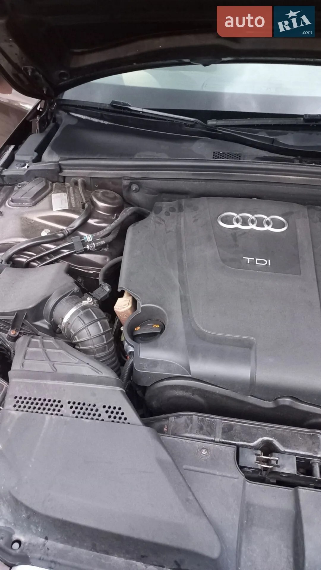 2011 Audi A4 - мініатюра 15