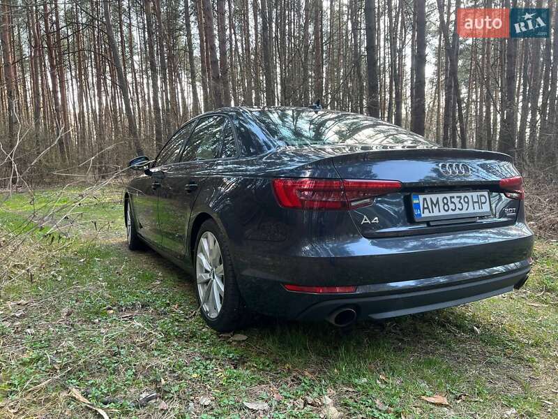 Седан Audi A4 2017 в Звягеле