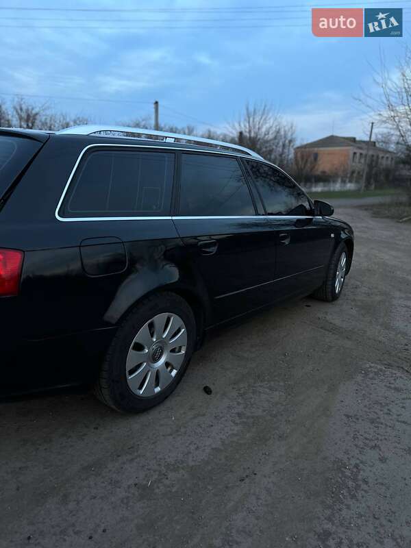 Універсал Audi A4 2005 в Голованівську