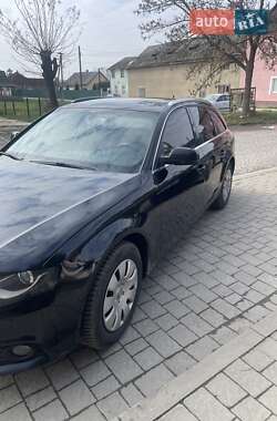 Универсал Audi A4 2011 в Берегово