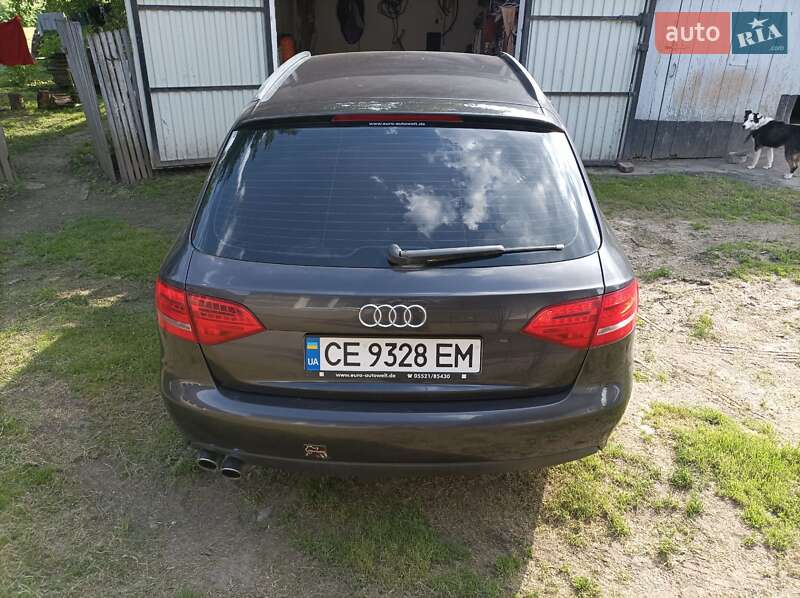 Универсал Audi A4 2009 в Кицмани