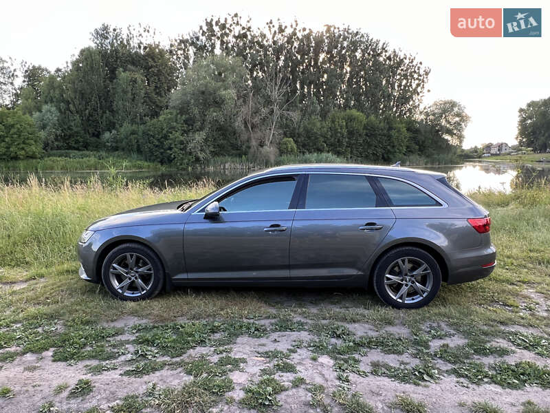 Универсал Audi A4 2016 в Каменке-Бугской