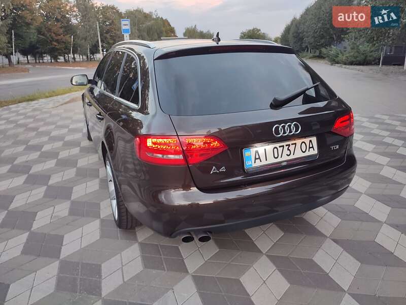 Универсал Audi A4 2010 в Белой Церкви