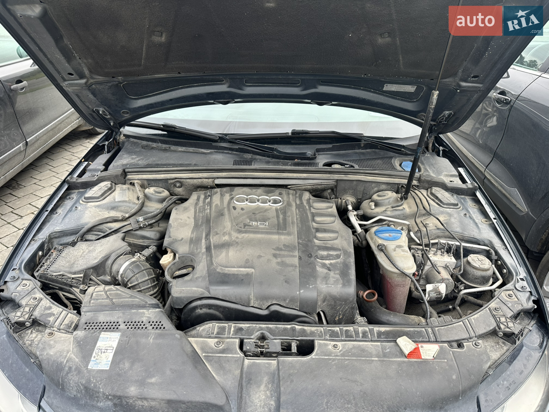 Audi A4 2008 VIN WAUZZZ8K29A039720 фото оголошення 22 з 23