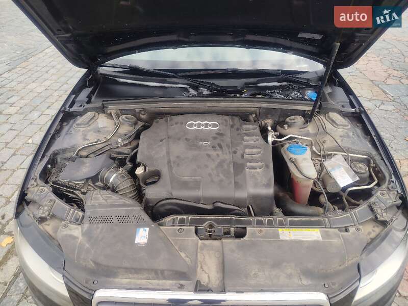 Универсал Audi A4 2010 в Кременчуге фото 16 Универсал Audi A4 2010 в Кременчуге