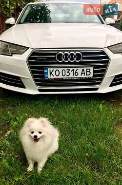 Седан Audi A4 2016 в Буштыне