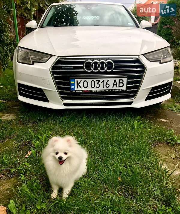 Audi A4 2016 Audi A4 2016