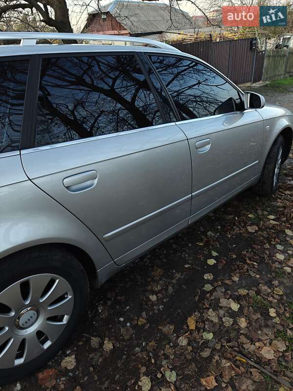 Універсал Audi A4 2005 в Любашівці