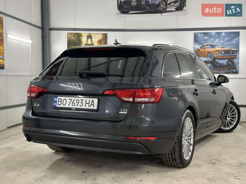 Универсал Audi A4 2016 в Дрогобыче