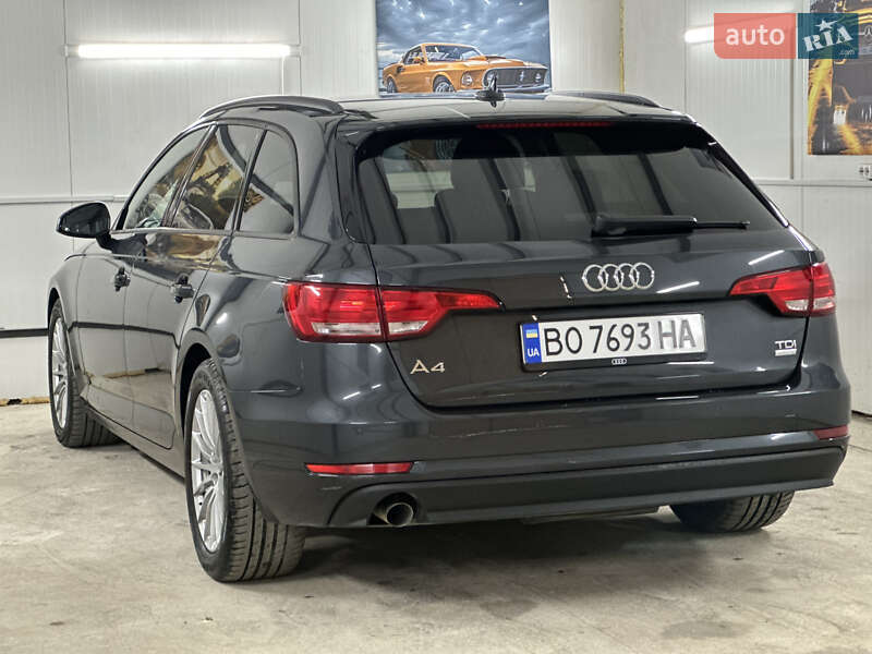 Универсал Audi A4 2016 в Дрогобыче
