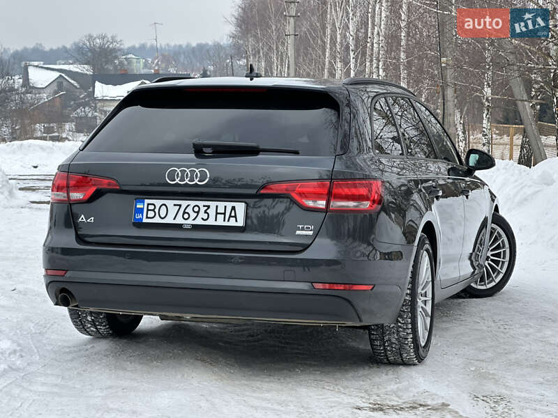 Універсал Audi A4 2016 в Дрогобичі