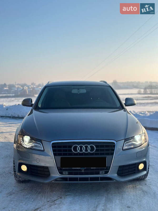 2008 Audi A4, VIN WAUZZZ8K79A166303:plate — фото 1 (autoria)