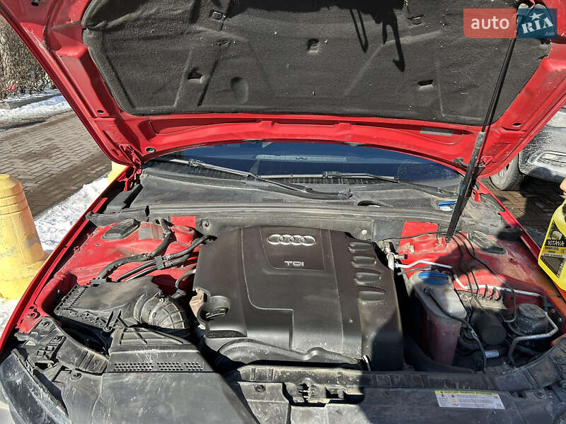 Седан Audi A4 2010 в Чайках фото 13 Седан Audi A4 2010 в Чайках