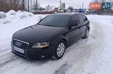 Универсал Audi A4 2008 в Бердичеве