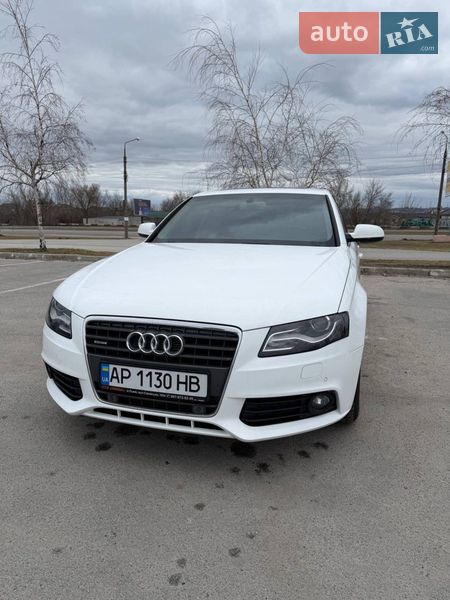 2012 Audi A4, VIN WAUZZZ8K1CA116830:plate — фото 1 (autoria)