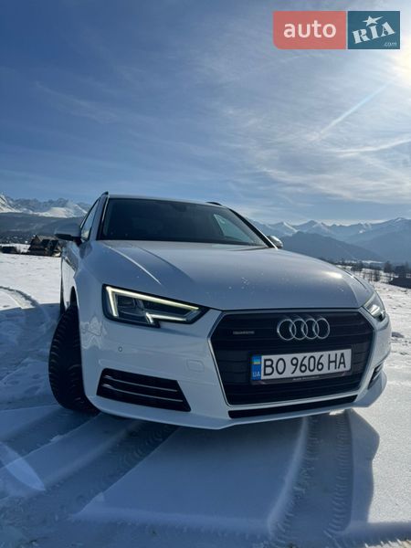2019 Audi A4, VIN WAUZZZF49KA085720:plate — фото 1 (autoria)