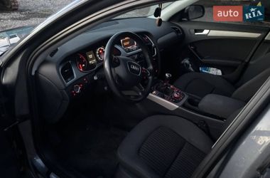 Универсал Audi A4 2013 в Житомире