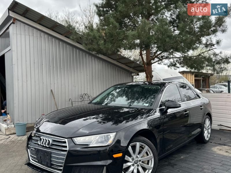 2019 Audi A4, VIN WAUANAF46KN010797:plate — фото 1 (autoria)