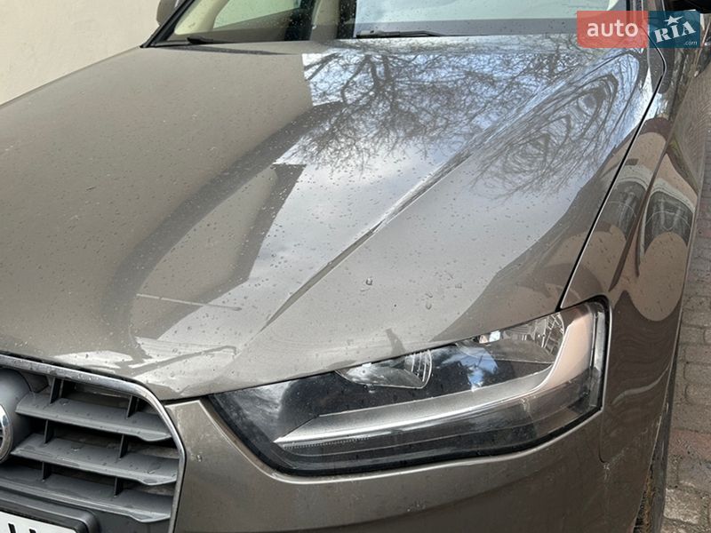2014 Audi A4, VIN WAUZZZ8K2EA102244:plate — фото 1 (autoria)