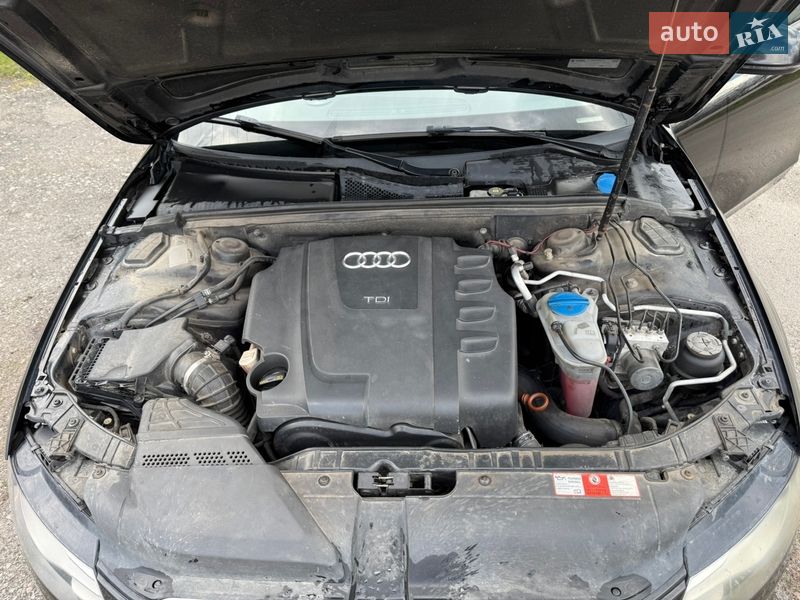 Седан Audi A4 2008 в Решетиловке фото 19 Седан Audi A4 2008 в Решетиловке