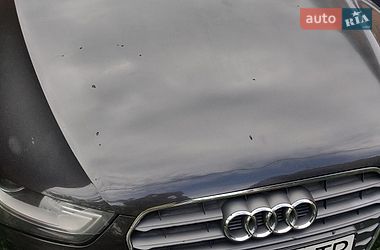 Универсал Audi A4 2014 в Каменке-Бугской