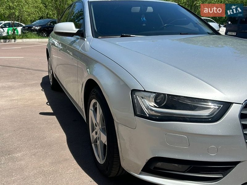 2013 Audi A4, VIN WAUZZZ8K5DN034433:plate — фото 1 (autoria)