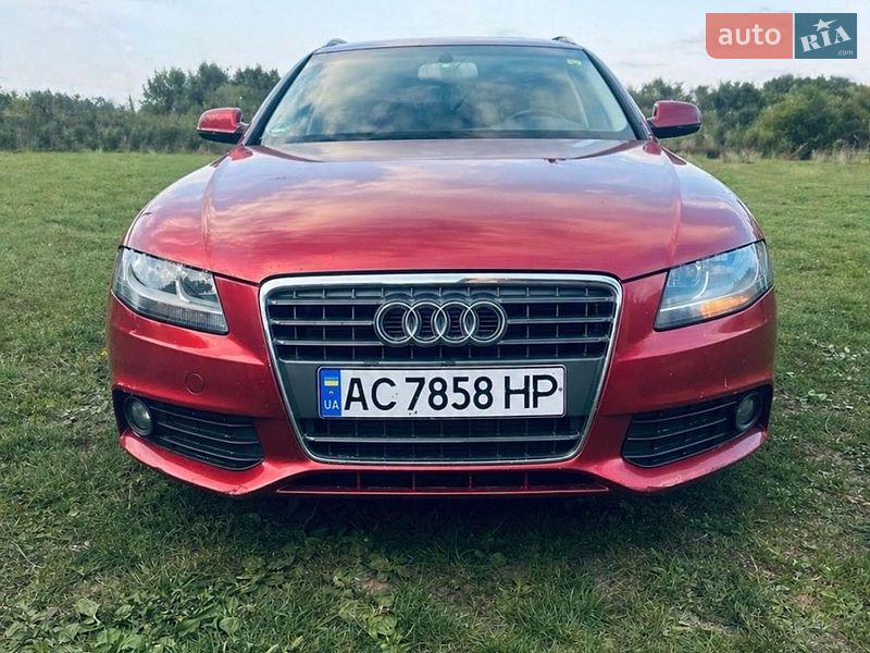 2010 Audi A4, VIN WAUZZZ8KXAA126477:plate — фото 1 (autoria)