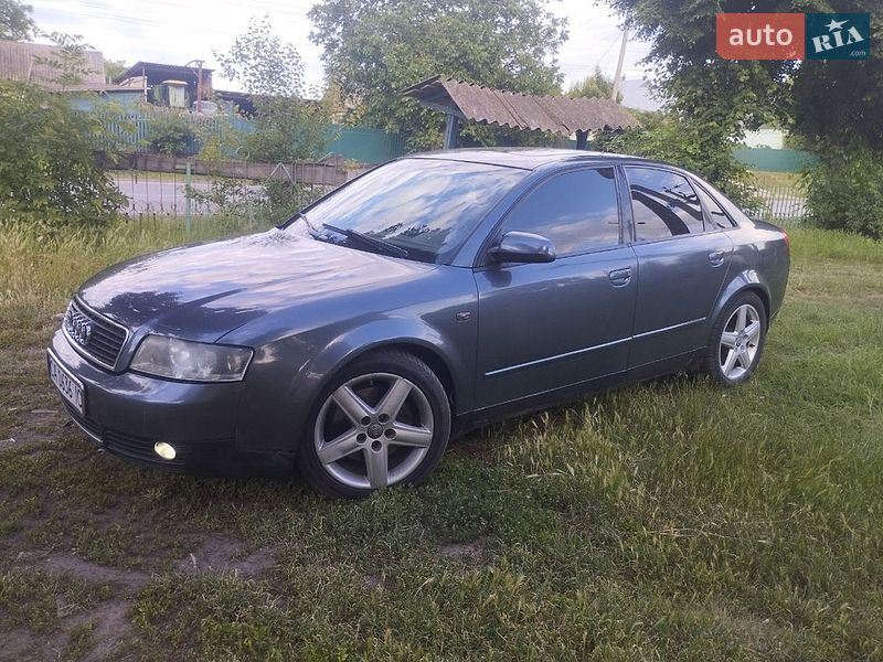 Седан Audi A4 2002 в Каменке фото 2 Седан Audi A4 2002 в Каменке