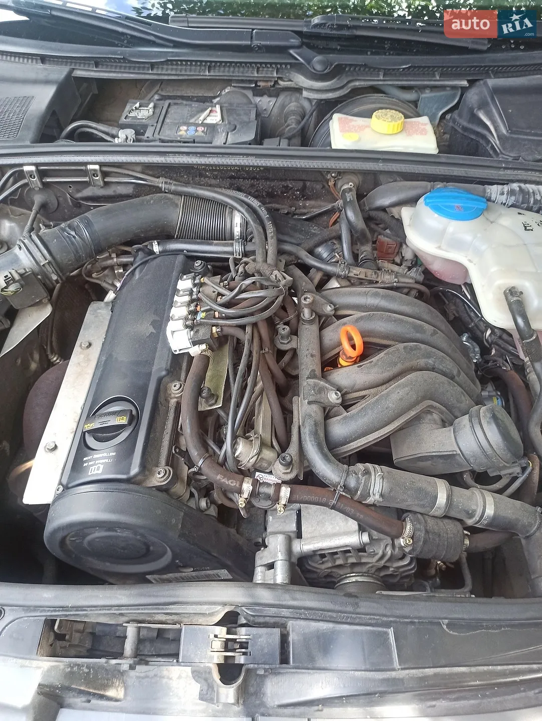 Audi A4 2007 VIN WAUZZZ8E88A118902 фото оголошення 21 з 22