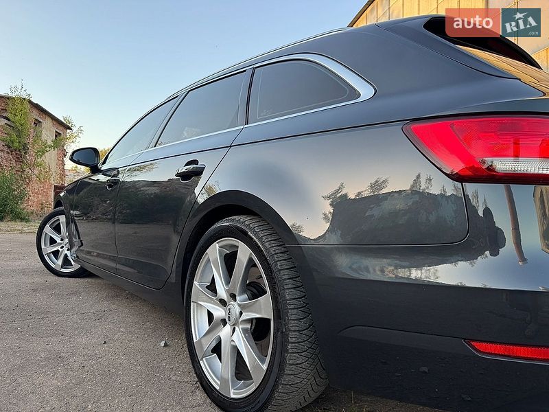 Універсал Audi A4 2016 в Дрогобичі
