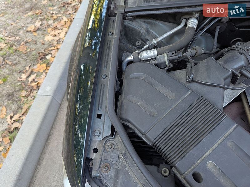 Універсал Audi A4 2005 в Звягелі