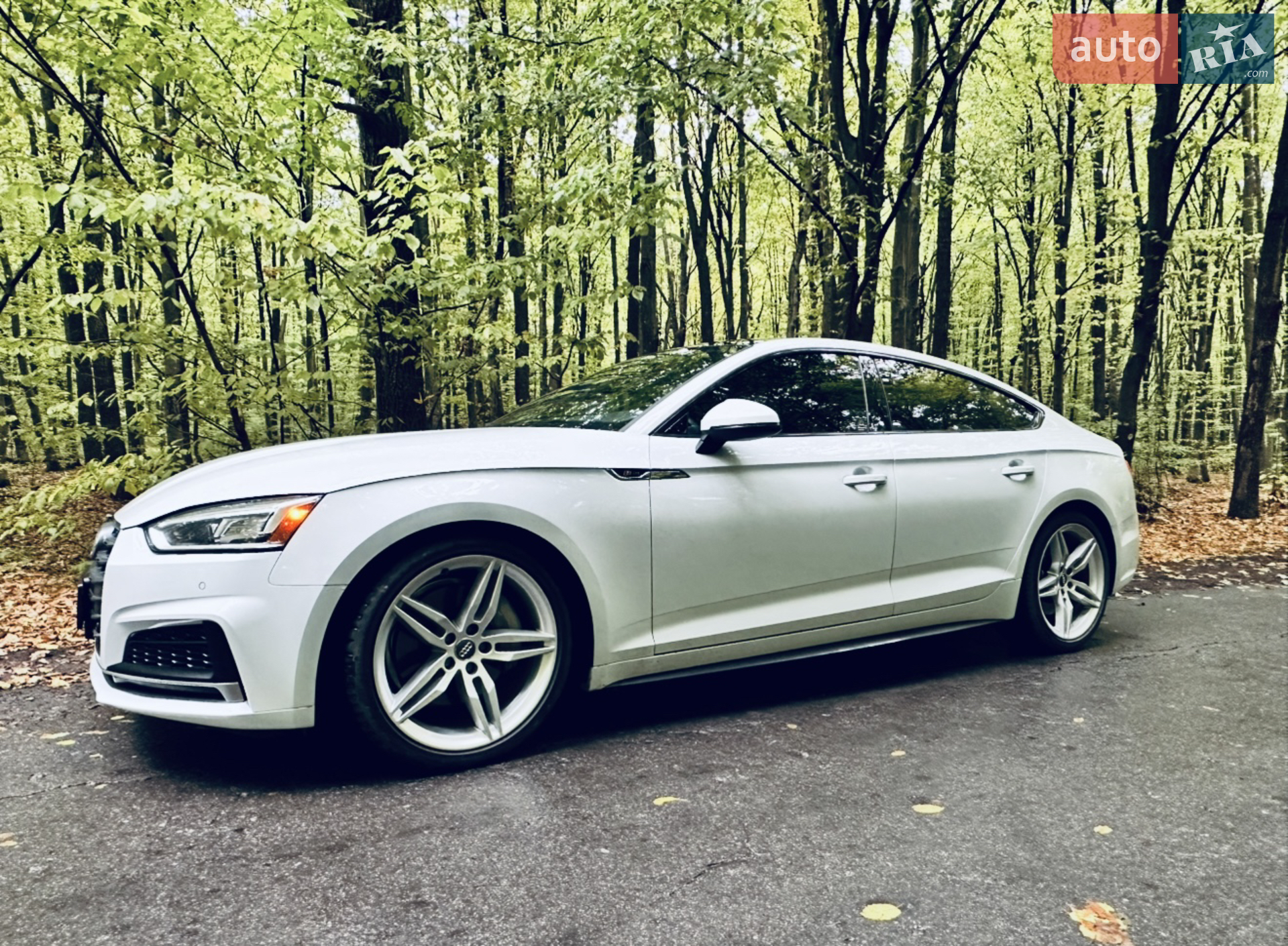 2019 Audi A5 - мініатюра 4