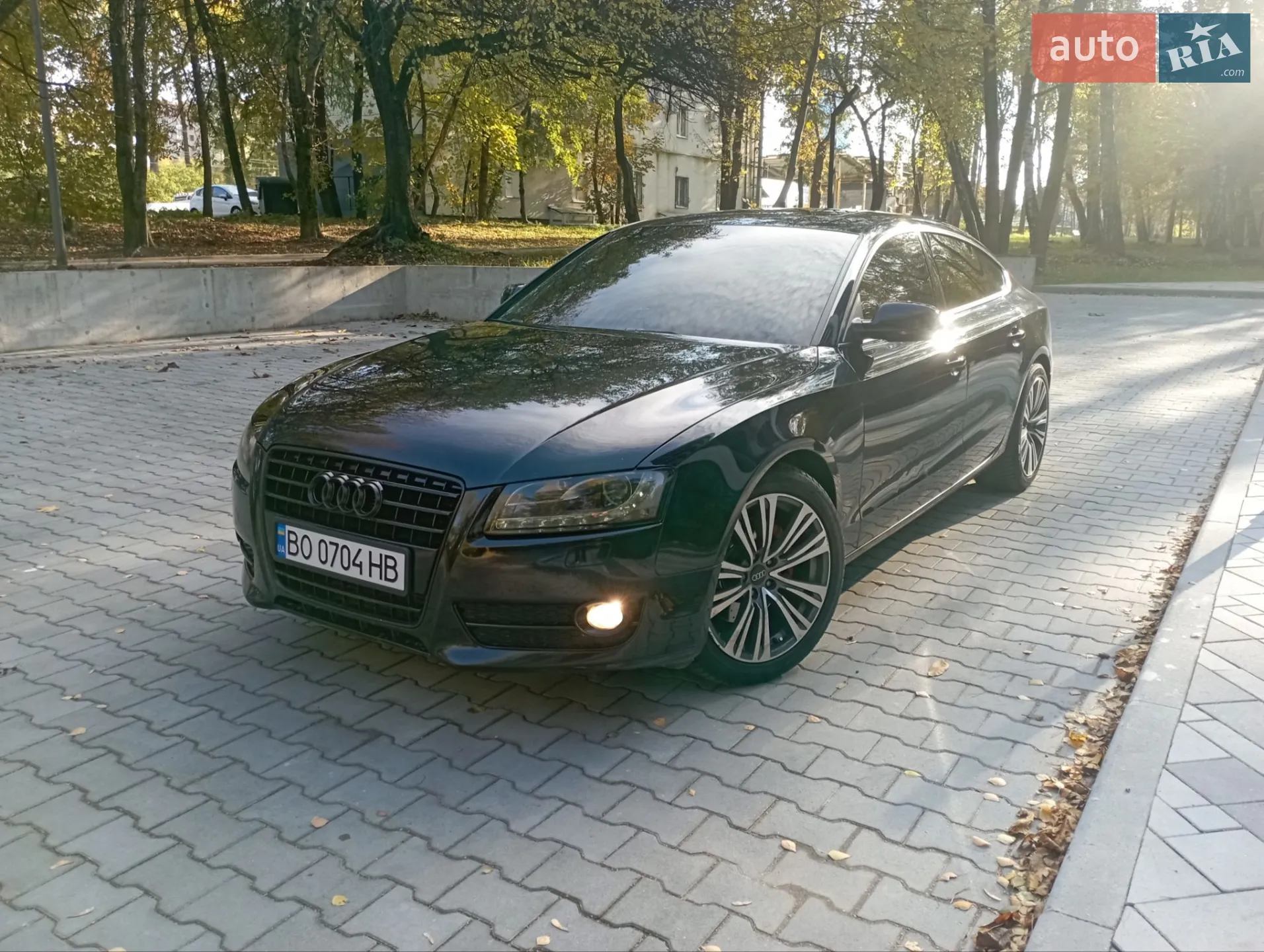 2011 Audi A5 - мініатюра 5