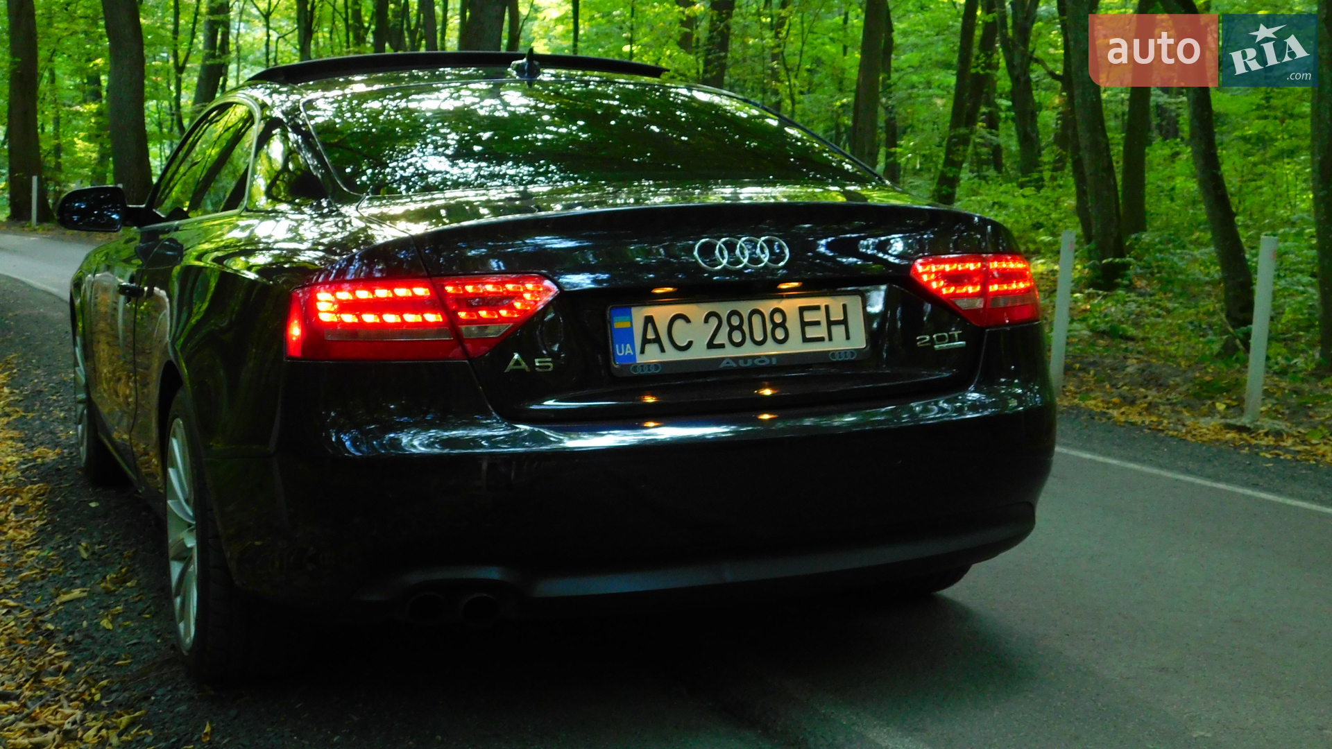 2010 Audi A5 - мініатюра 11