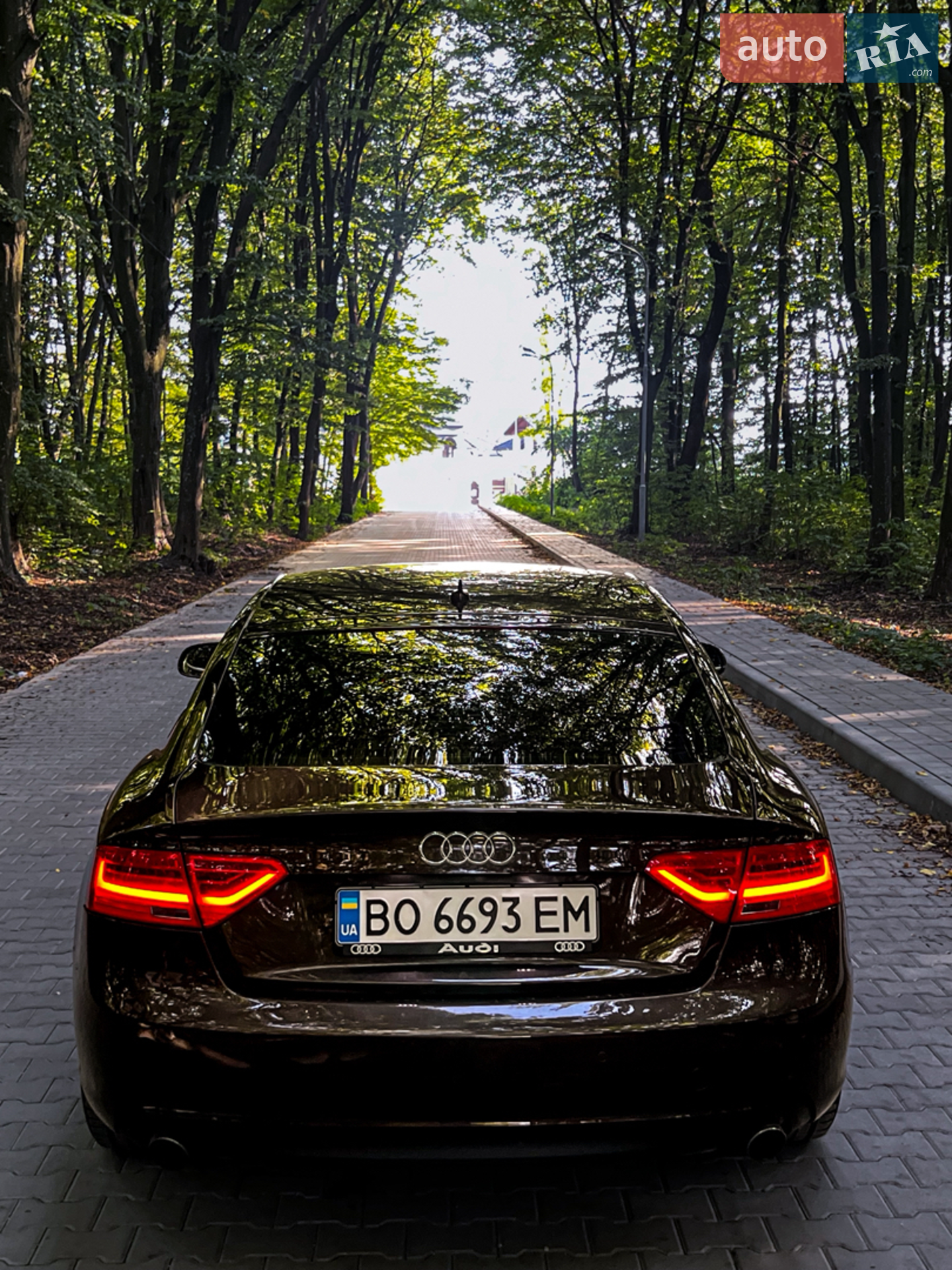2013 Audi A5 - мініатюра 12