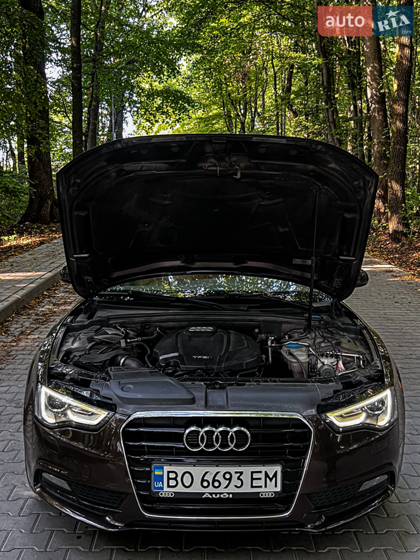 2013 Audi A5 - мініатюра 9