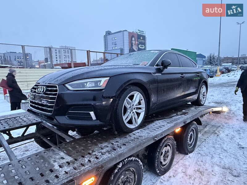 2019 Audi A5, VIN WAUANCF59KA052005:plate — фото 1 (autoria)