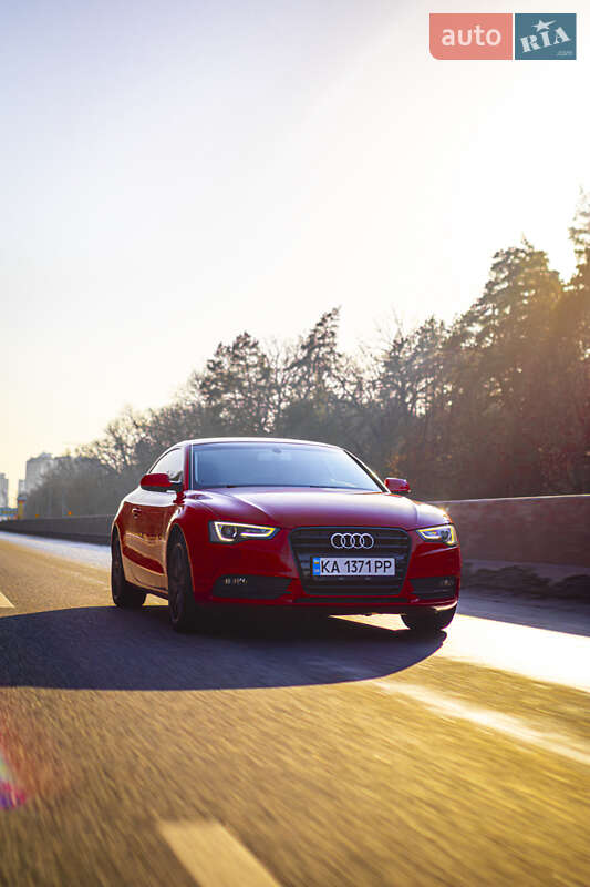 2013 Audi A5, VIN WAUZZZ8T9DA071887:plate — фото 1 (autoria)