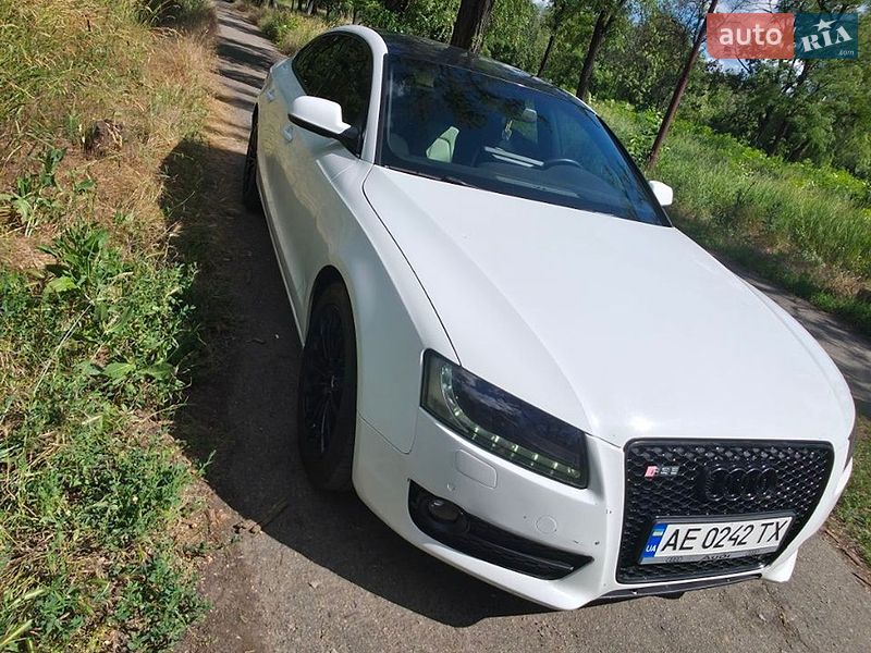 2011 Audi A5, VIN WAUZZZ8TXBA064864:plate — фото 1 (autoria)