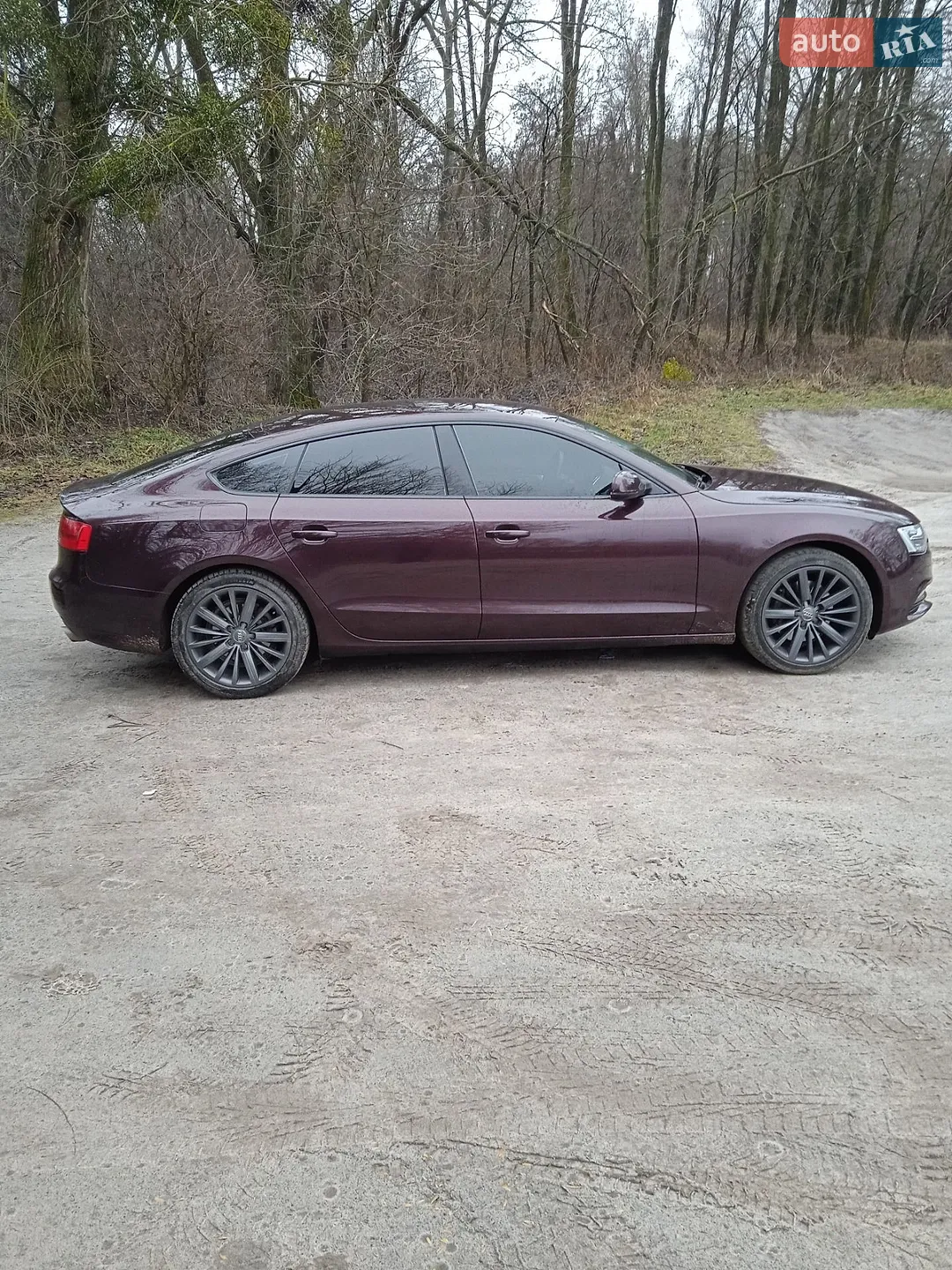 2011 Audi A5 - мініатюра 5