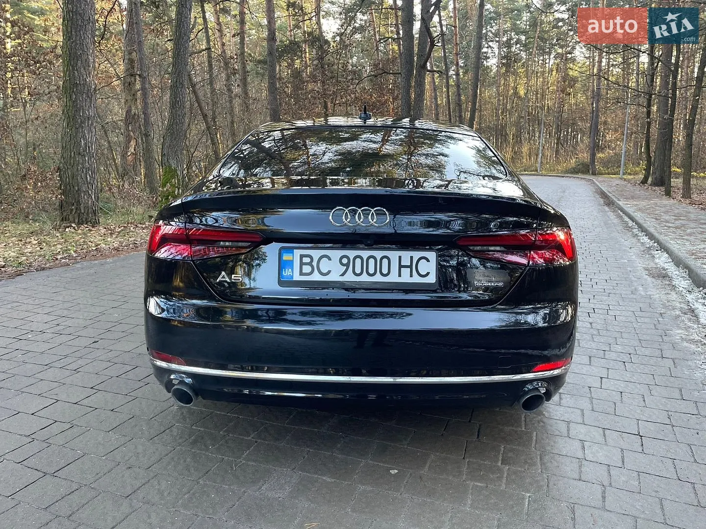 2019 Audi A5 - мініатюра 7