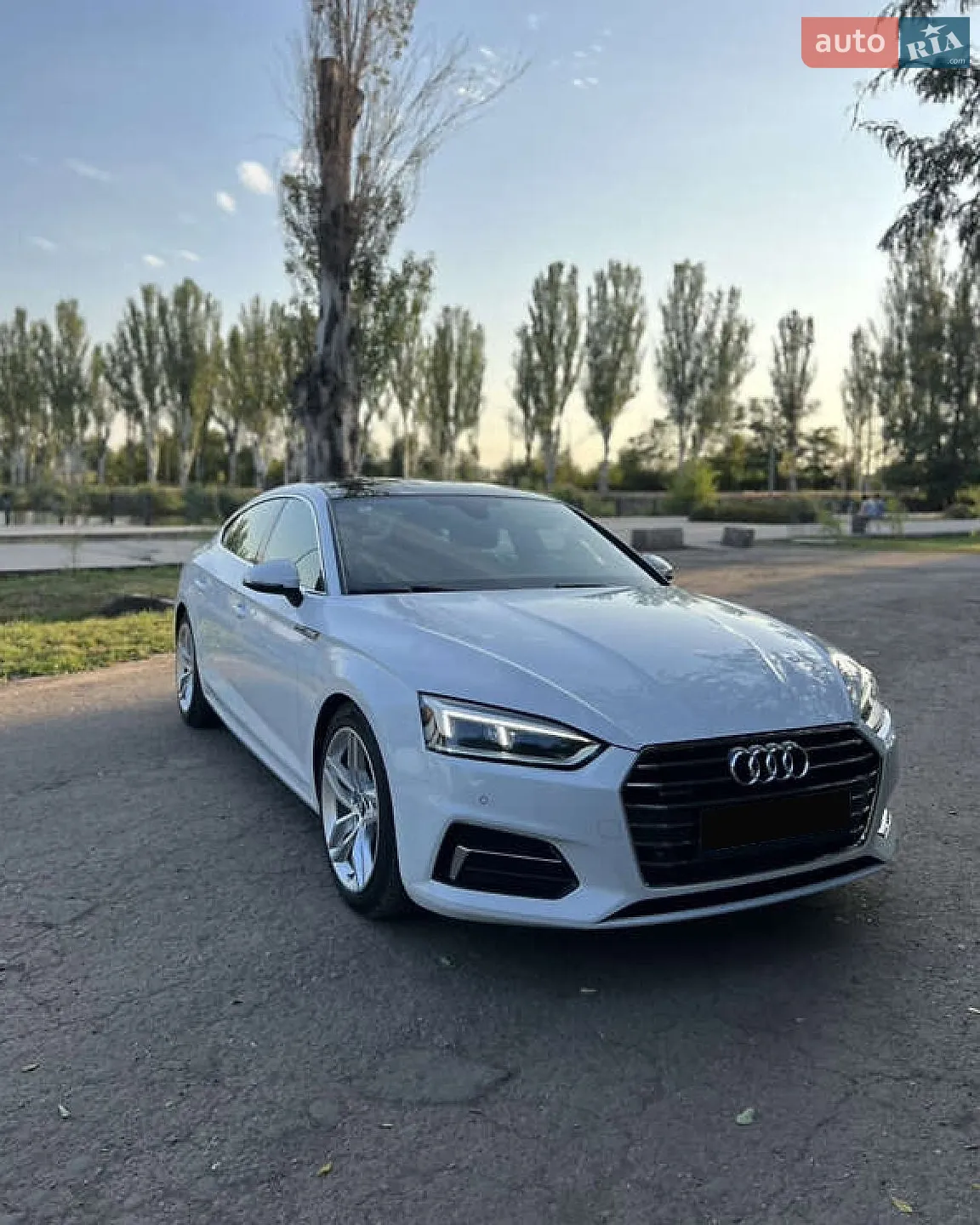 2019 Audi A5 - фото 1