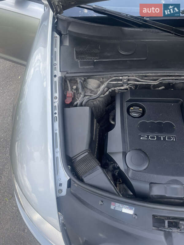 Універсал Audi A6 2006 в Теофіполі