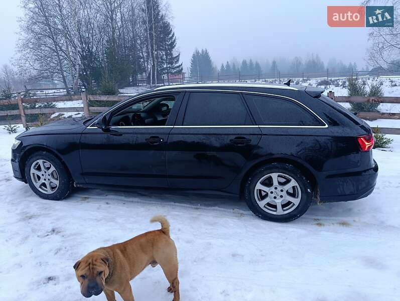 2015 Audi A6, VIN WAUZZZ4G7FN066643:plate — фото 1 (autoria)
